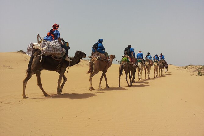 Essaouira: 3-Hour Camel Tour - Key highlights worth knowing