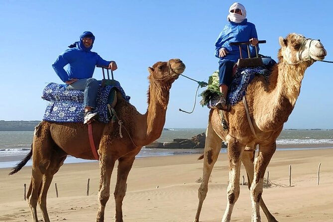 Essaouira: 3-Hour Camel Tour - Your Guide and the Extra Care: Imad and Gentle Dromadaires
