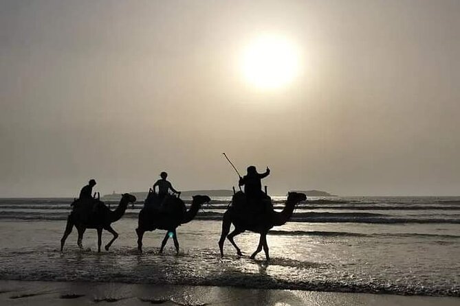 Essaouira: 3-Hour Camel Tour - Who This Tour Fits Best (and Who Should Ask Questions First)