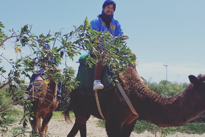 Essaouira: 3-Hour Camel Tour - Private Group Feel, Mobile Ticket, and Pickup That Actually Helps