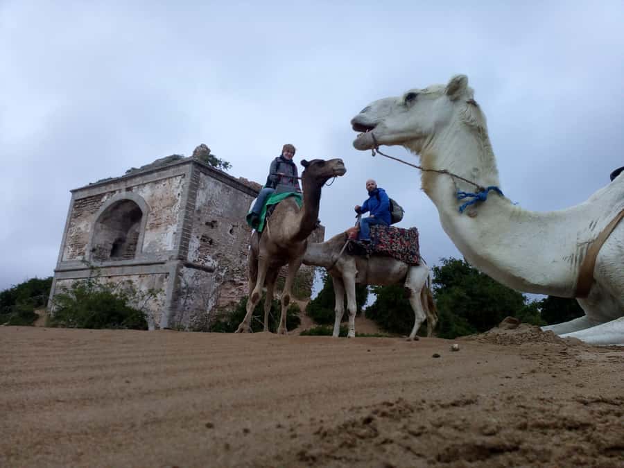 Essaouira: 3-Hour Dromedary Ride and Berber Tent Overnight - Diabat and Ranch de Diabat: Where the Camel Day Starts