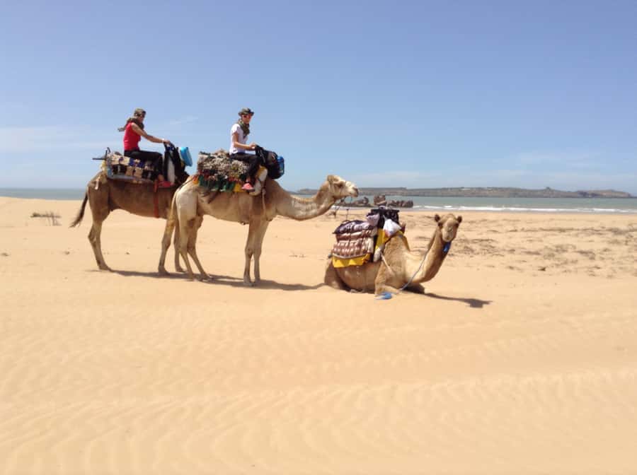 Essaouira: 3-Hour Dromedary Ride and Berber Tent Overnight - The Freshwater Spring Pause and Free-Range Cows