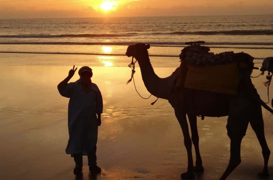 Essaouira: 3-Hour Dromedary Ride and Berber Tent Overnight - Morning Return: Moroccan Breakfast, Ranch Shower, and Drop-Off in Essaouira