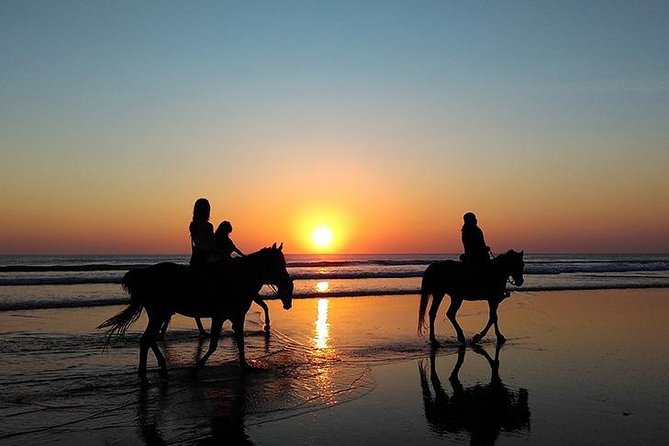 Essaouira Activities: Discover Essaouira by Quad - Horse or dromedary camel, and how to choose