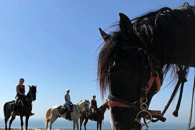 Essaouira Activities: Discover Essaouira by Quad - Timing: start early for calm, end late for sunset