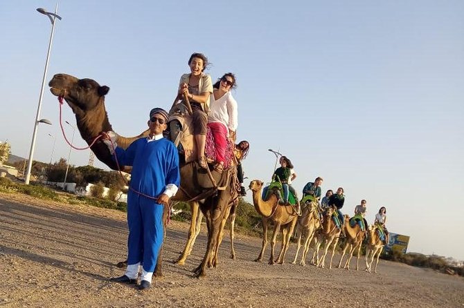 Essaouira Activities: Discover Essaouira by Quad - Price and value: is $46.34 worth it?