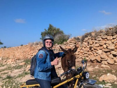 Area Highlights Guided E-Bike Tour