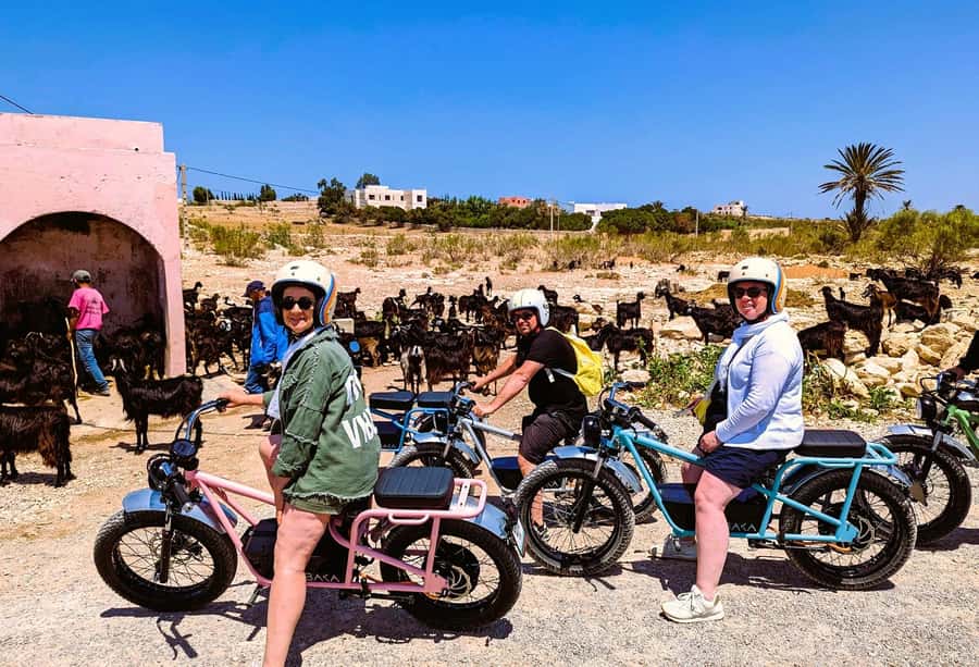 Essaouira: Area Highlights Guided E-Bike Tour - Photo stops in the old hippie village