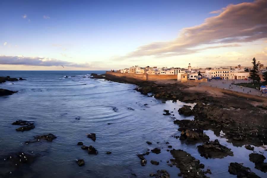 Essaouira Atlantic coast Day trip from marrakech - Seafood by the Beach, Wind in Your Hair, and Optional Camel Rides