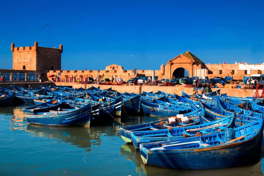 Essaouira Atlantic coast Day trip from marrakech - Transport Comfort: What to Check Before You Rely on AC and Seat Belts