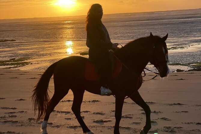 Essaouira Beach Horse Rides &Treks for All Levels - Key things to know before you ride
