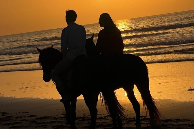 Essaouira Beach Horse Rides &Treks for All Levels - Meeting Hamza and choosing your horse in Diabat