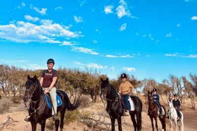 Essaouira Beach Horse Rides &Treks for All Levels