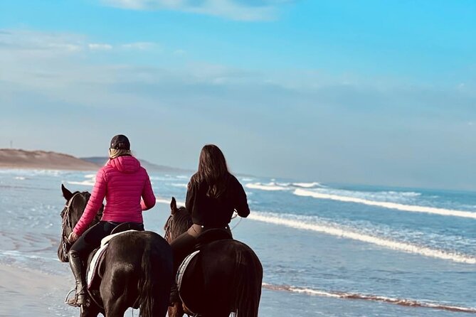 Essaouira Beach Horse Rides &Treks for All Levels - If you want more than an hour: 1-2 day treks and how they’re run