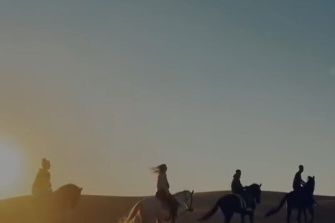 Essaouira Beach Horse Rides &Treks for All Levels - Price and value for a 10-person max horse experience