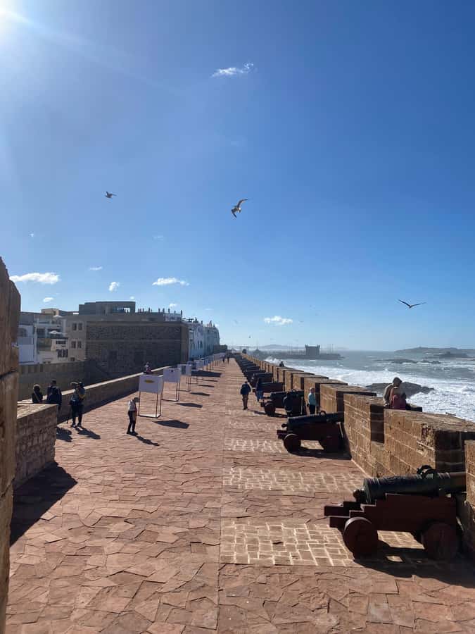 Essaouira City day Trip from Marrakech - Skipping the hard sell, the women-run argan oil cooperative stop