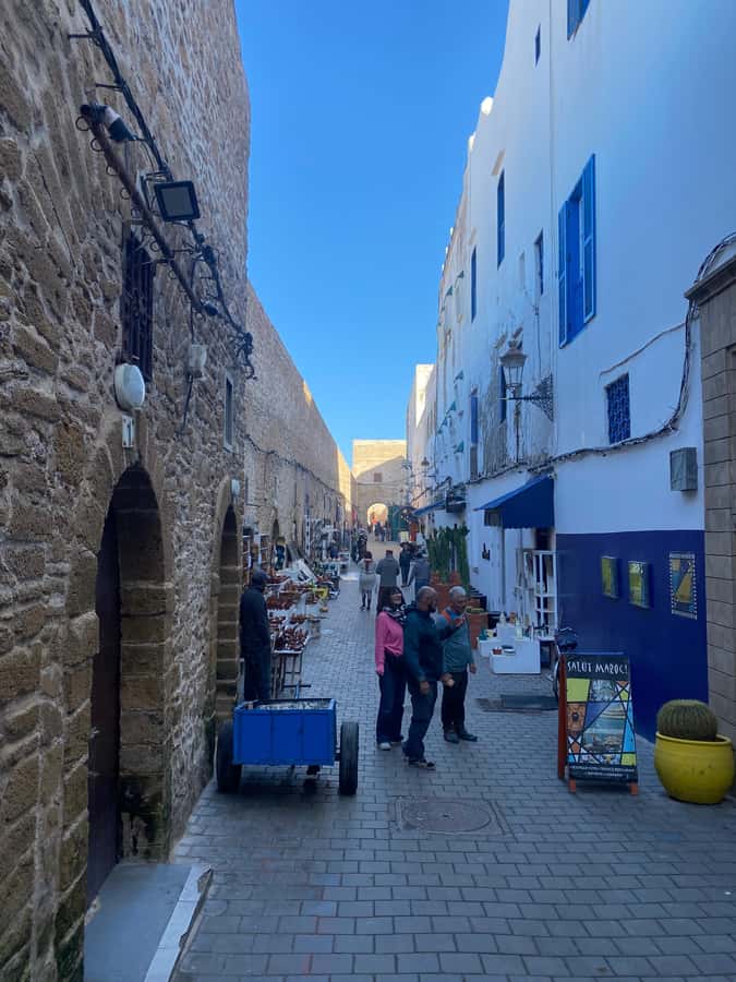 Essaouira City day Trip from Marrakech - Guide and driving notes, Charaf and Saïd make a difference