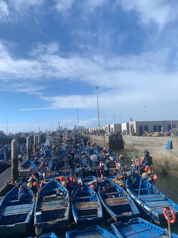 Essaouira City day Trip from Marrakech - Entering the UNESCO Medina, blue doors and an easy morning walk