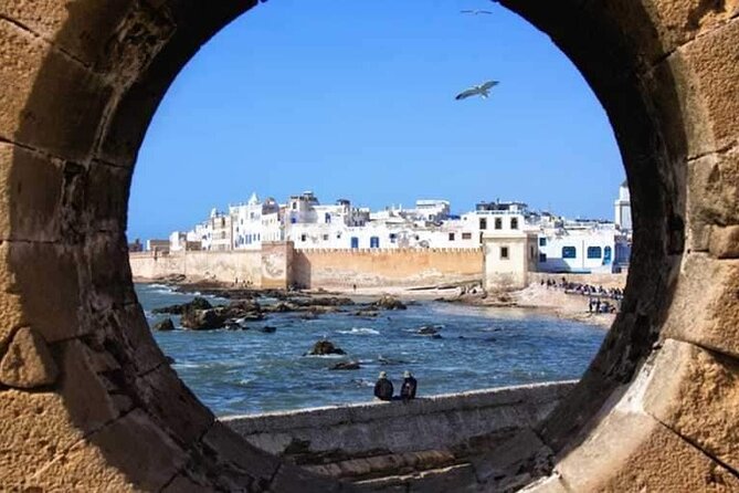Essaouira Coast Day Trip From Marrakech - Tafetachte and the goat story on argan trees