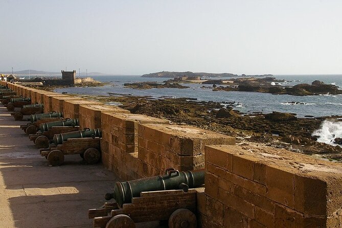 Essaouira Day Trip From Agadir or Taghazout - On the road through the Atlas: goats, Berber coffee, and real stops