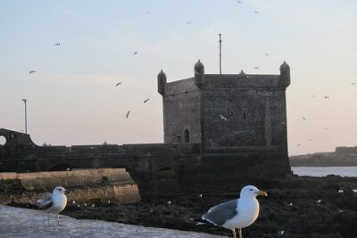 Essaouira Day Trip From Agadir or Taghazout