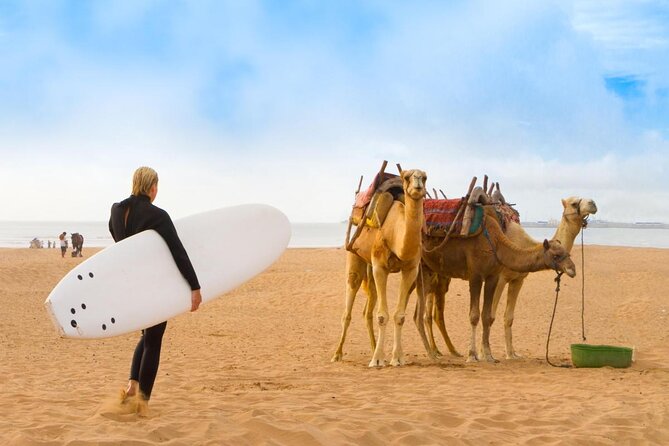 Essaouira day trip from Marrakech - Key things to know before you go