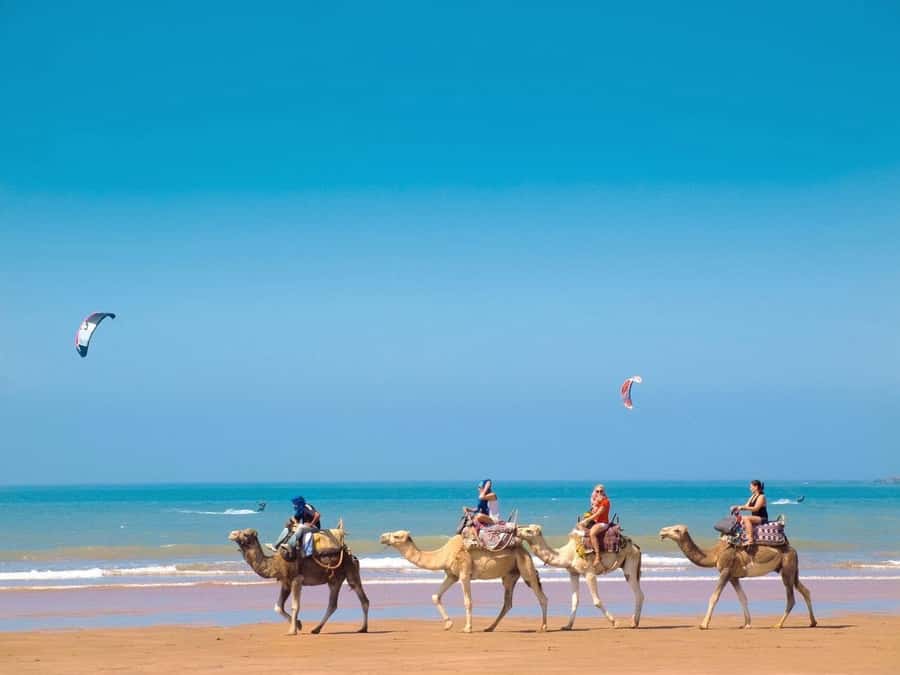Essaouira Day Trip from Marrakech _ medina, old port - Price and Value at About $14: What You’re Getting for a Budget-Friendly Day