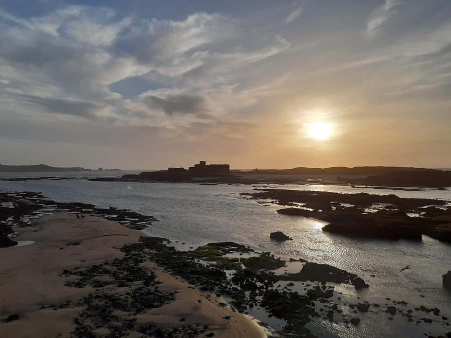 Essaouira Day Trip from Marrakech _ medina, old port - Argan Oil Cooperative Visit: What You Learn and How to Shop Smart