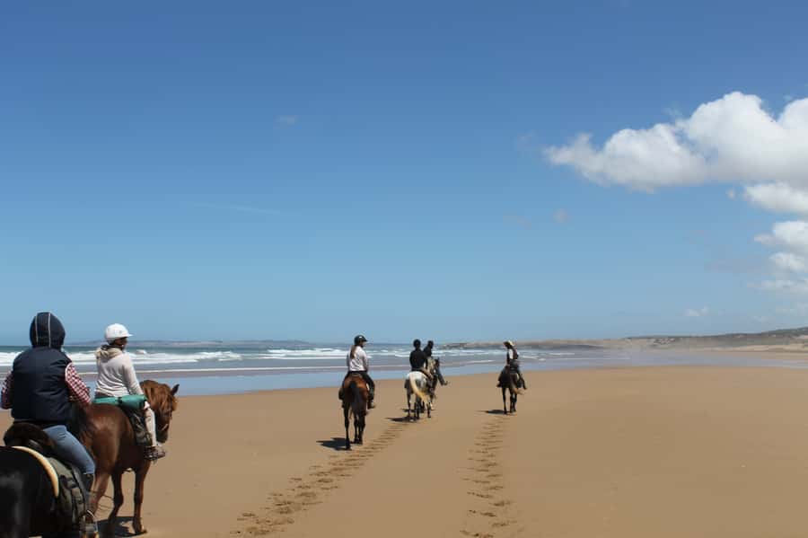Essaouira: Full-Day Horse Riding Tour with Lunch - How this full-day ride feels in real life
