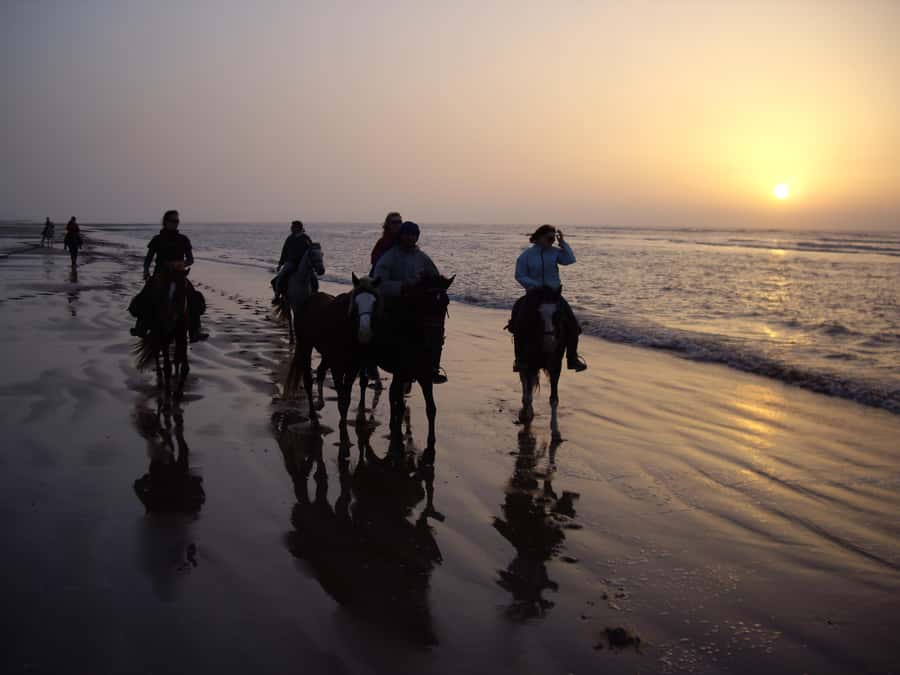 Essaouira: Full-Day Horse Riding Tour with Lunch - From Ranch de Diabat to Mogador’s coastline