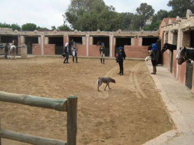 Full-Day Horse Riding Tour with Lunch