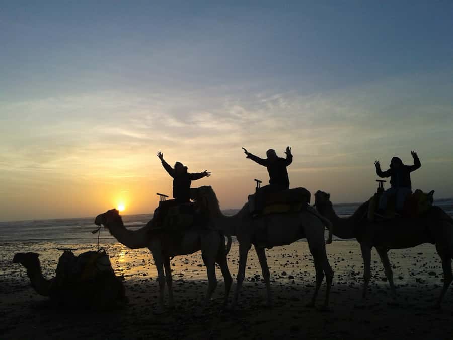 Essaouira: One Hour Dromedary Ride - Key Things I’d Focus On Before You Go