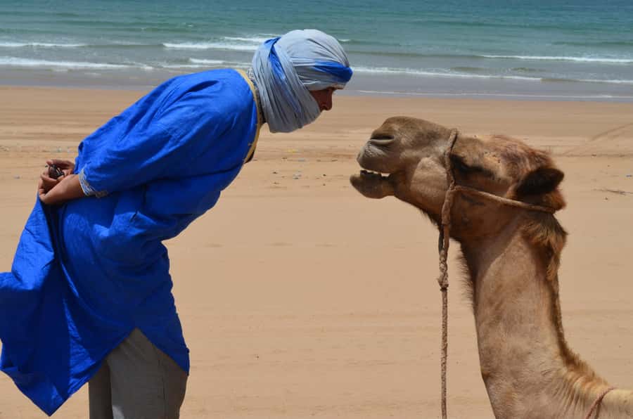 Essaouira: One Hour Dromedary Ride - The One-Hour Dromedary Ride: What It Feels Like