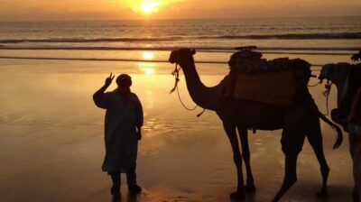 One Hour Dromedary Ride