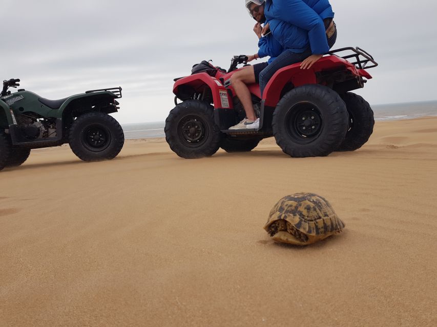 Essaouira P12 : 1h Quad bike tour and 1h dromedary Ride - How the Essaouira Quad and Dromedary Combo Fits Together