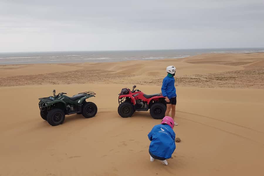 Essaouira P3: Quad tour forest beach dunes (free transfer) - Pickup in Essaouira, then quad basics with your guide