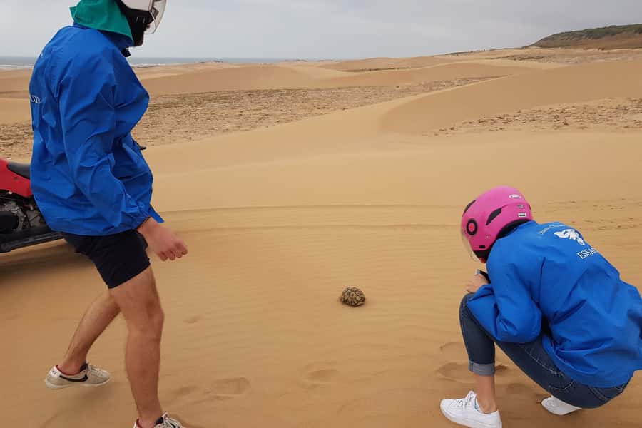 Essaouira P3: Quad tour forest beach dunes (free transfer) - Learning to drive a quad where it counts, not just in a parking lot