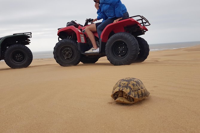 Essaouira: Pleasant Quad tour (free transfer) - Key highlights worth planning around