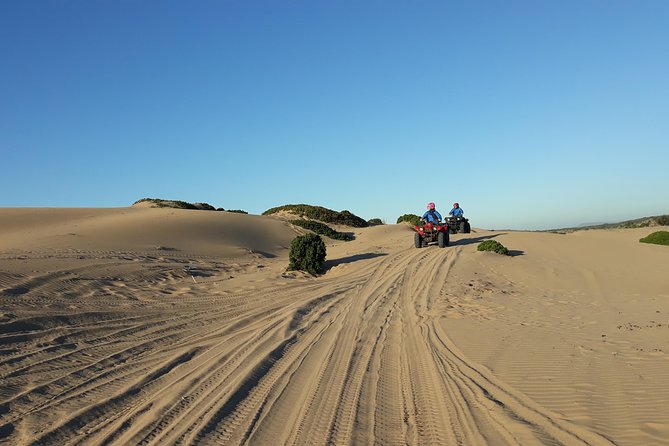 Essaouira: Pleasant Quad tour (free transfer) - Optional Detours: Cap Sim Lighthouse and Sidi Kaouki