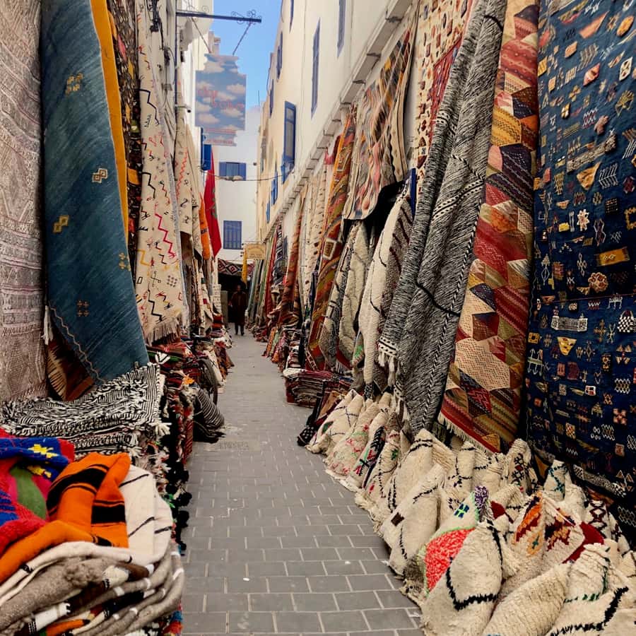 Essaouira: Private City Tour - Why a private orientation matters in Essaouira