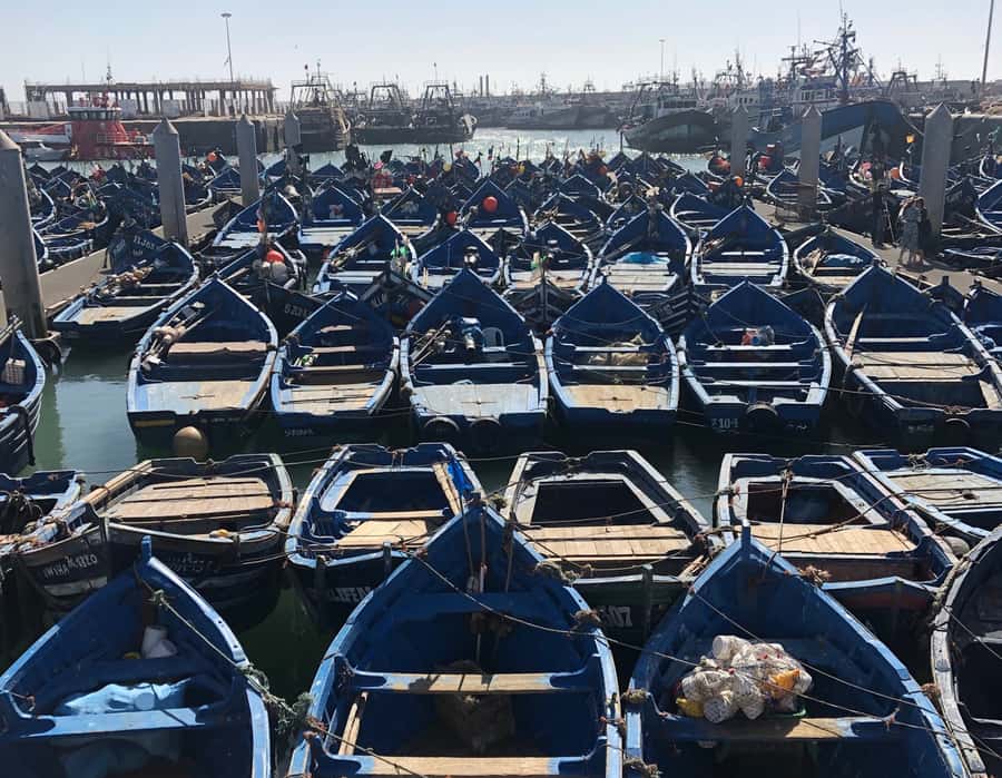 Essaouira: Private City Tour - Logistics that actually matter: meeting point, language, and wind