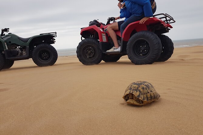 Essaouira: Quad ride / family & friends (free transfer) - Diabat village and the argan tree routes: more than just dunes