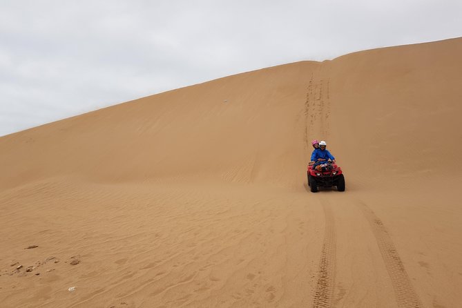Essaouira: Quad ride / family & friends (free transfer) - The safety setup that helps beginners feel in control