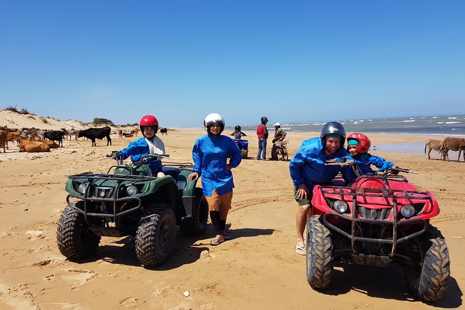 Essaouira: Quad tours (free transfer) - Key Highlights You’ll Actually Feel