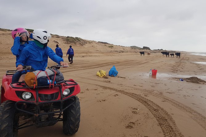 Essaouira: Quad tours (free transfer) - Riding Through Dunes, Forest, and Wild Beaches