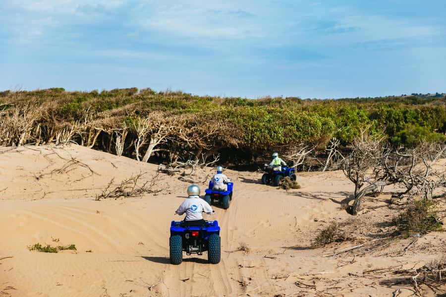 Essaouira Sand Dunes: Half Day Quad Bike Tour - Diabat Beach Break and Photo Stops: When the Ride Cools Off