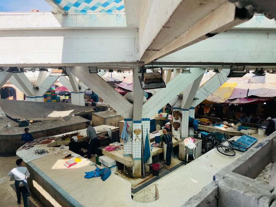 Essaouira: Sqala du Port, Citadel, Fish Market & Medina Tour - Fish Market and Moulay Hassan Square: connect Atlantic life to what you see