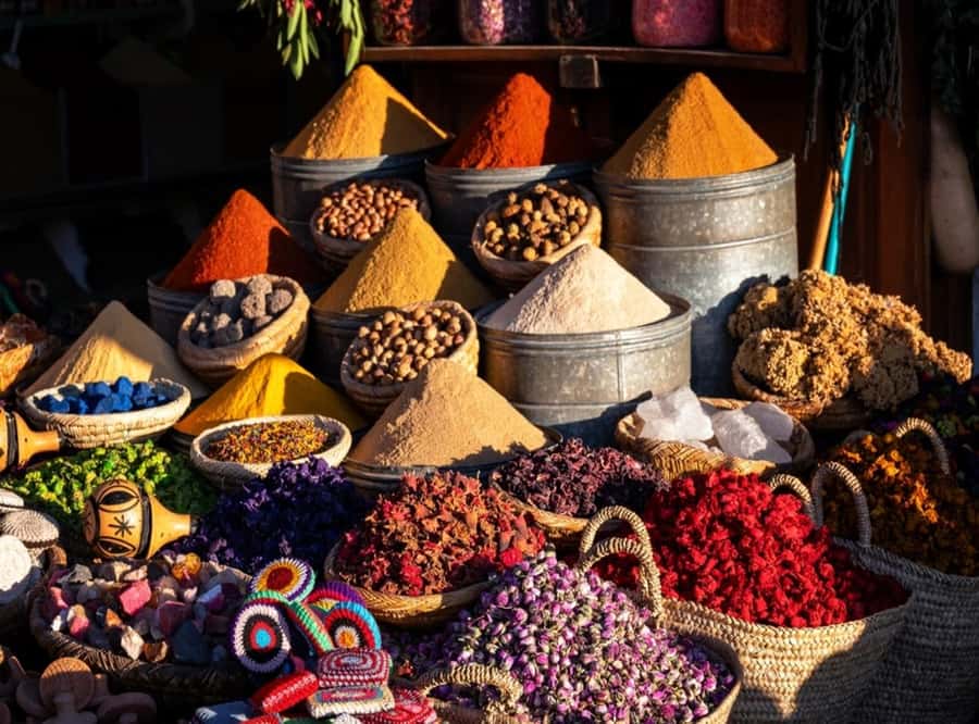 Essaouira: Sqala du Port, Citadel, Fish Market & Medina Tour - Who should book this Sqala, Citadel, Medina, and fish market walk