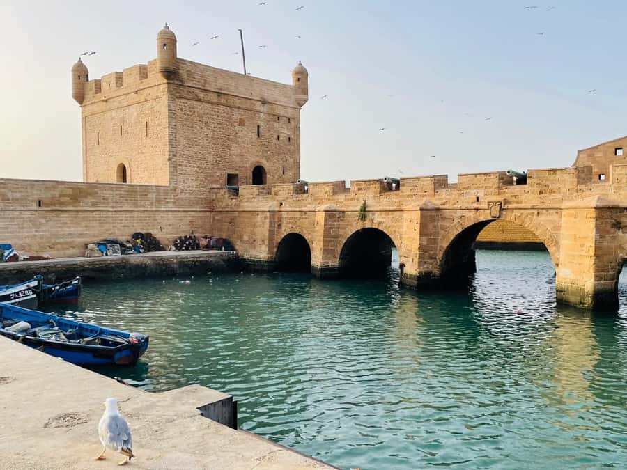 Essaouira: Sqala du Port, Citadel, Fish Market & Medina Tour - Should you book this 3-hour guided Essaouira walk?