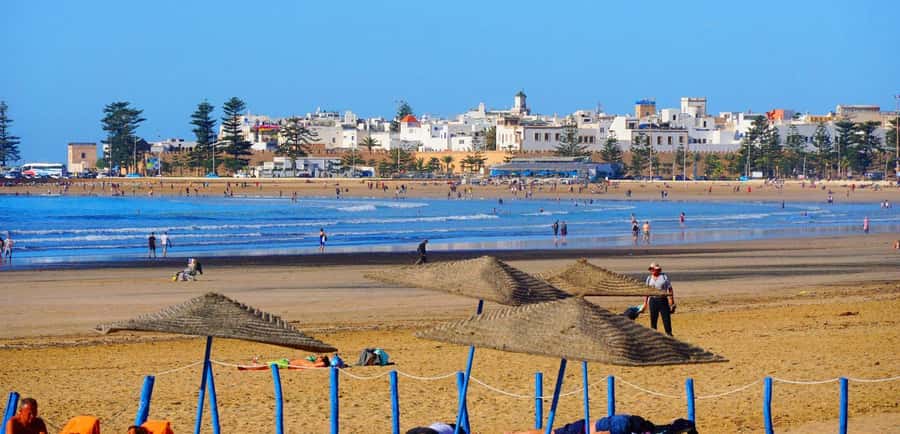 Essaouirra day trip from Marrakech - The road out of Marrakech: 8:00 AM to an Atlantic mood shift